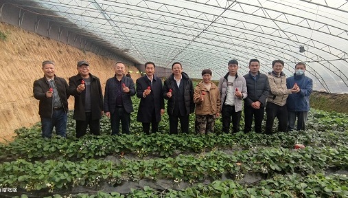 志广果蔬 | 2022年大力发展种植基地，助农民小康、市民健康
